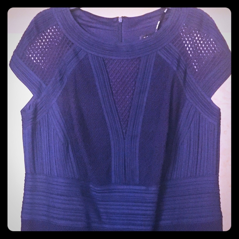 Tadashi 14Q Mesh Lace Panel Gown